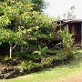 Gardens in front of Flashlight House